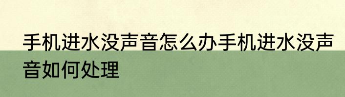 手机进水没声音怎么办手机进水没声音如何处理