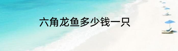 六角龙鱼多少钱一只