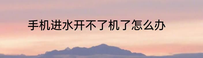手机进水开不了机了怎么办