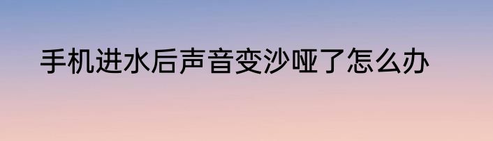 手机进水后声音变沙哑了怎么办
