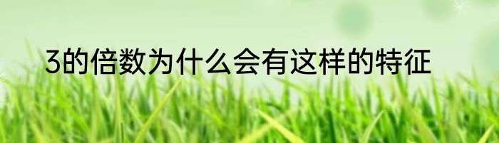 3的倍数为什么会有这样的特征