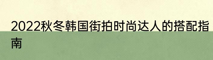 2022秋冬韩国街拍时尚达人的搭配指南