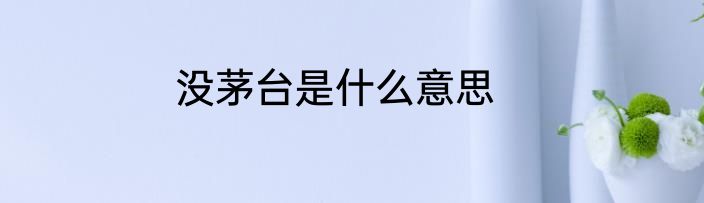 没茅台是什么意思