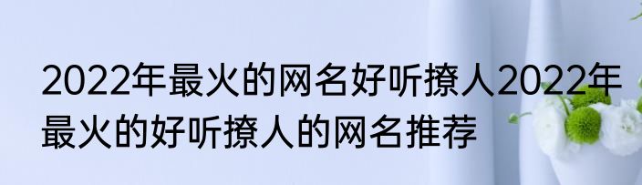 2022年最火的网名好听撩人2022年最火的好听撩人的网名推荐
