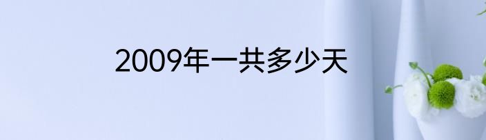 2009年一共多少天