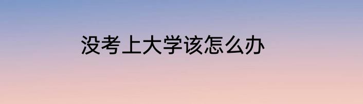 没考上大学该怎么办