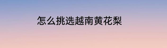 怎么挑选越南黄花梨