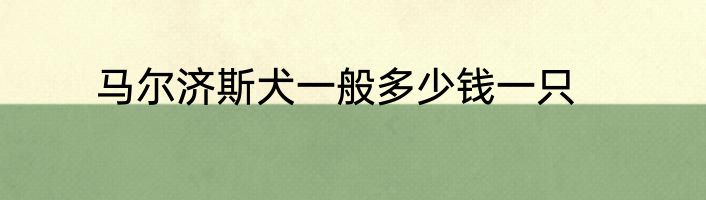 马尔济斯犬一般多少钱一只