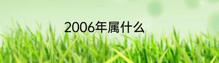 2006年属什么