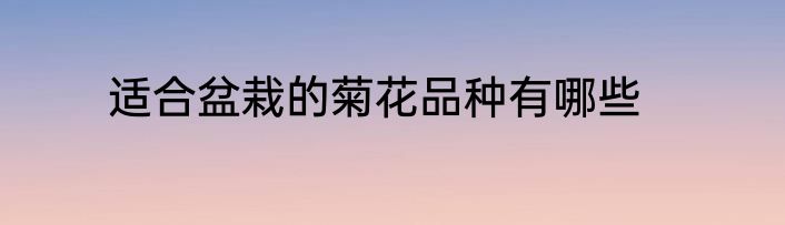 适合盆栽的菊花品种有哪些