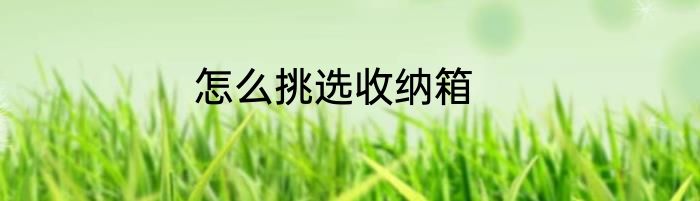 怎么挑选收纳箱