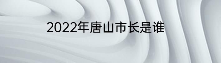 2022年唐山市长是谁