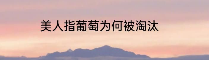 美人指葡萄为何被淘汰