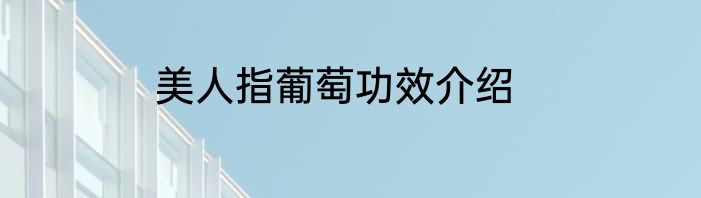 美人指葡萄功效介绍