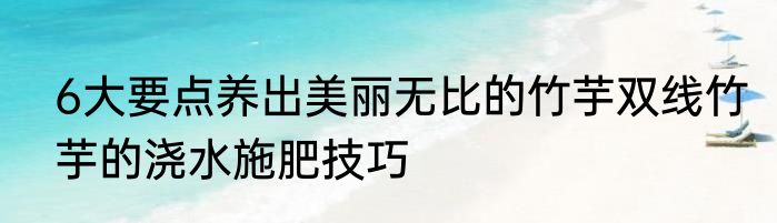 6大要点养出美丽无比的竹芋双线竹芋的浇水施肥技巧
