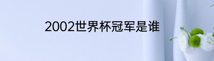 2002世界杯冠军是谁