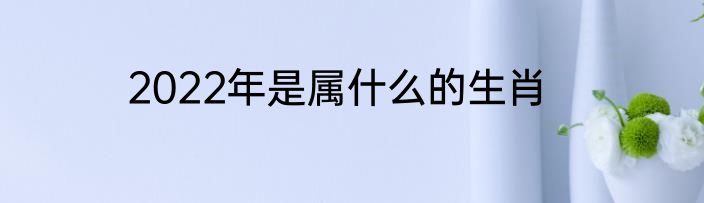 2022年是属什么的生肖