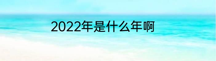 2022年是什么年啊