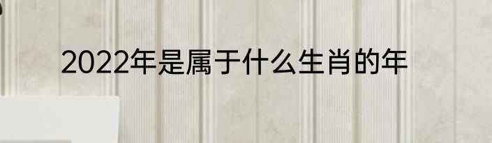 2022年是属于什么生肖的年