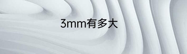 3mm有多大