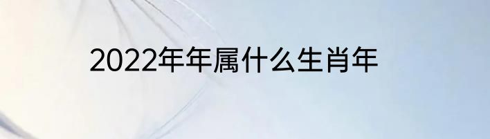2022年年属什么生肖年