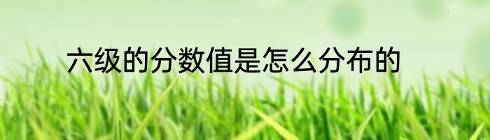 六级的分数值是怎么分布的