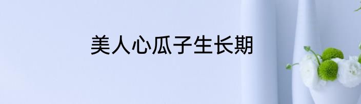美人心瓜子生长期