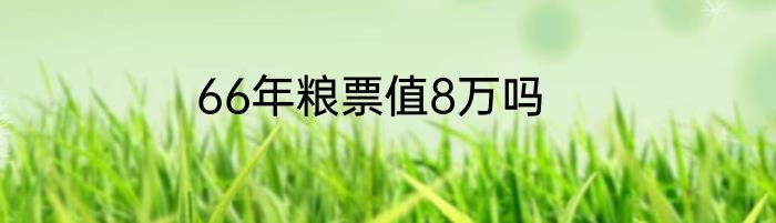 66年粮票值8万吗