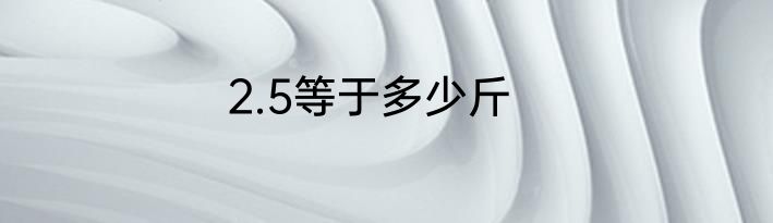 2.5等于多少斤