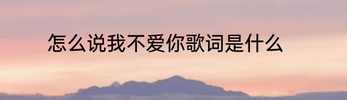 怎么说我不爱你歌词是什么