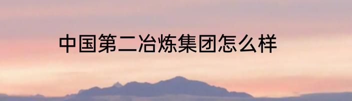 中国第二冶炼集团怎么样