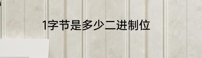1字节是多少二进制位