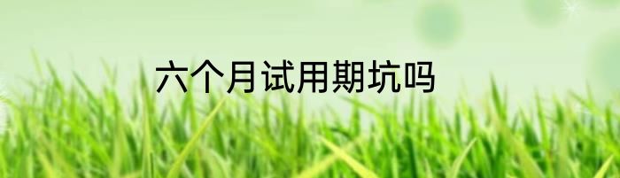 六个月试用期坑吗