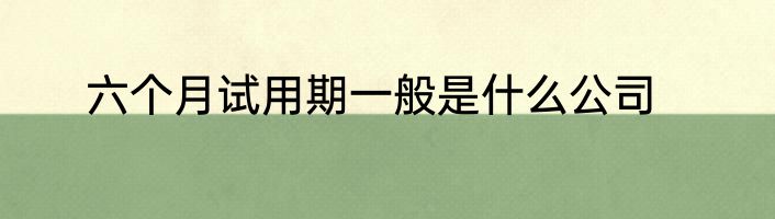 六个月试用期一般是什么公司