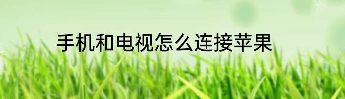 手机和电视怎么连接苹果
