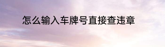 怎么输入车牌号直接查违章
