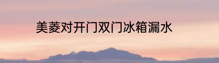 美菱对开门双门冰箱漏水