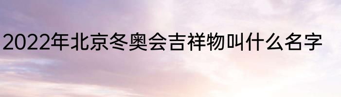 2022年北京冬奥会吉祥物叫什么名字