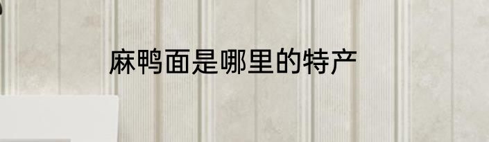 麻鸭面是哪里的特产