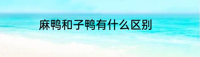 麻鸭和子鸭有什么区别