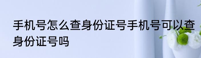 手机号怎么查身份证号手机号可以查身份证号吗
