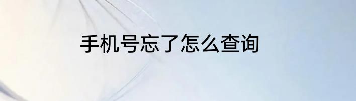 手机号忘了怎么查询