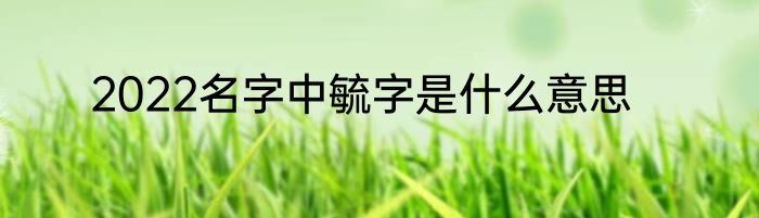 2022名字中毓字是什么意思