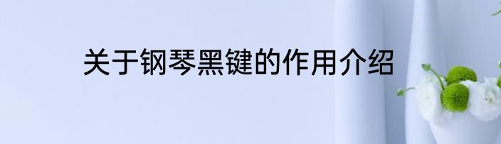 关于钢琴黑键的作用介绍