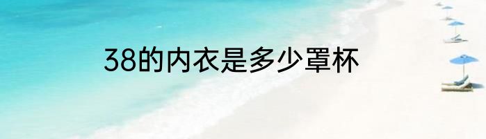 38的内衣是多少罩杯