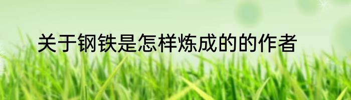 关于钢铁是怎样炼成的的作者