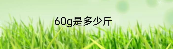 60g是多少斤