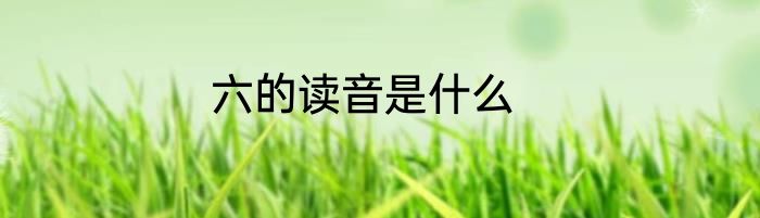 六的读音是什么