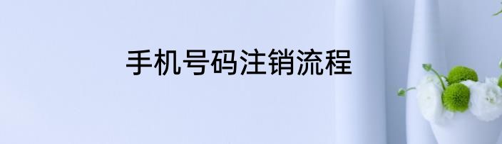 手机号码注销流程