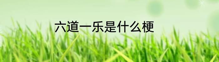 六道一乐是什么梗